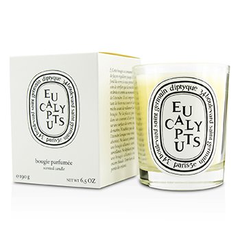 Scented Candle - Eucalyptus