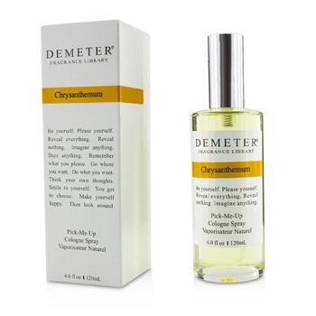 Chrysanthemum Spray Colonia