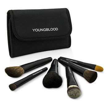 Professional Mini 6pc Brush Set