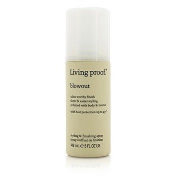 Blowout Spray de Peinar & Dar Acabado