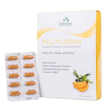 INO DREAM